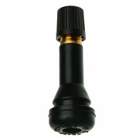 TR438 Tubeless Snap-In Valve
